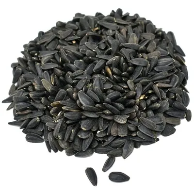 Graines de tournesol rayées sacs noirs chine origine emballées en Kg Pp noyau de tournesol noir et blanc de CN 99.9% 0.1% 7%