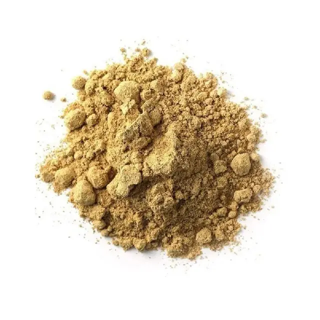 Alta Qualidade Aditivo Alimentar Ginger Zingiber Officinale Extract para preço por atacado na Índia