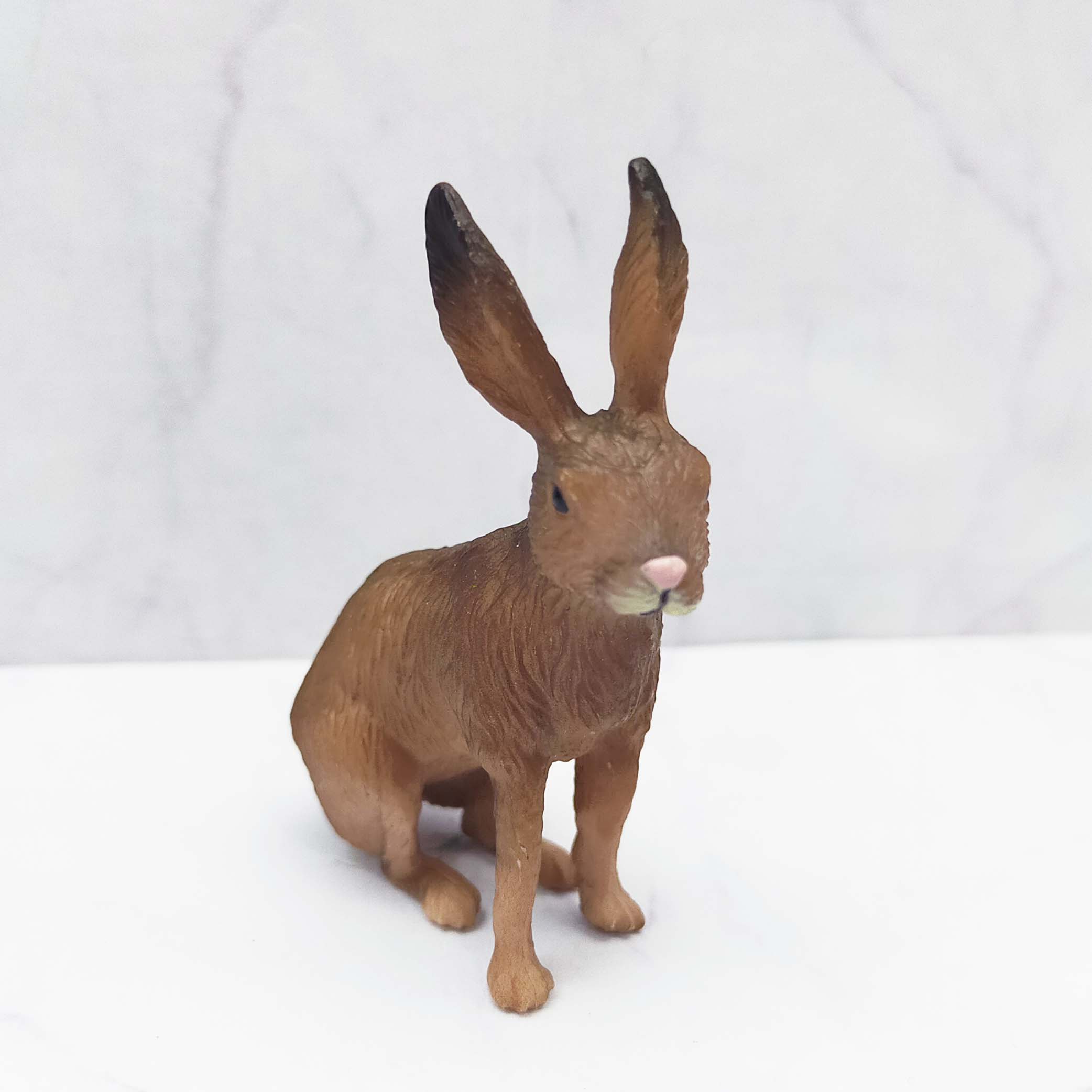 Conejo 3