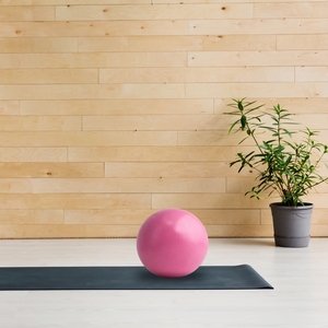 Toptan 20cm spor salonu Pilates topu Mini denge Yoga topu
