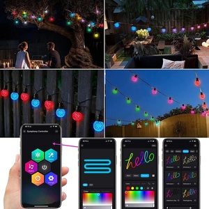 RGBG40グローブ電球パティオストリングライト屋外音楽同期APPリモート調光可能な花飾りストリングライトガーデンパーティーホリデーデコレーション - Product Image 4
