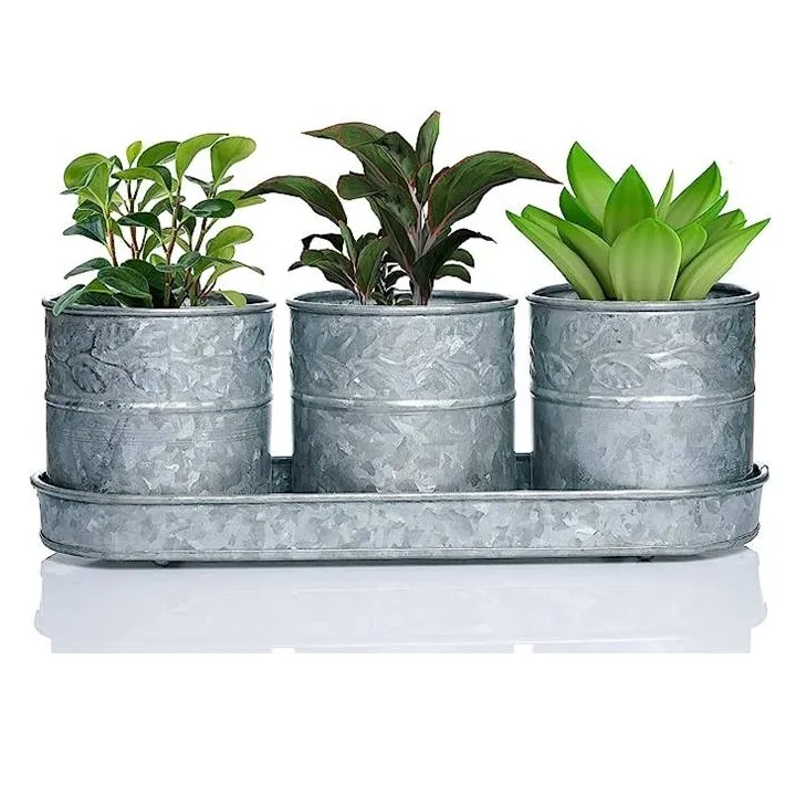 Meraviglioso prezzo più economico fioriere rotonde in metallo zincato con finitura naturale Set di 3 con vassoio per uso interno o esterno in giardino