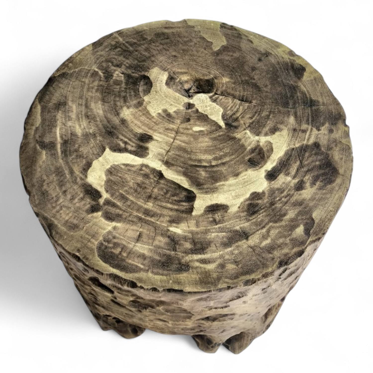 Antique Rustic Erosion Coral Reef