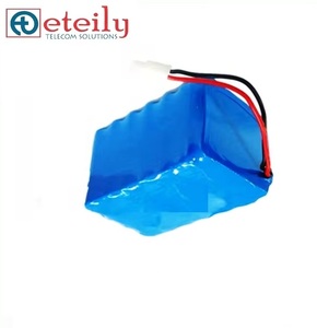 印度制造的ETEILY 12.8V 36Ah磷酸铁锂电池组，用于太阳能路灯产品类型通信天线
