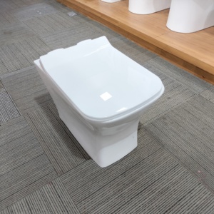 壁掛けトイレインドサプライヤーヨーロッパシニア壁掛けトイレバスルームセラミック壁掛けトイレ