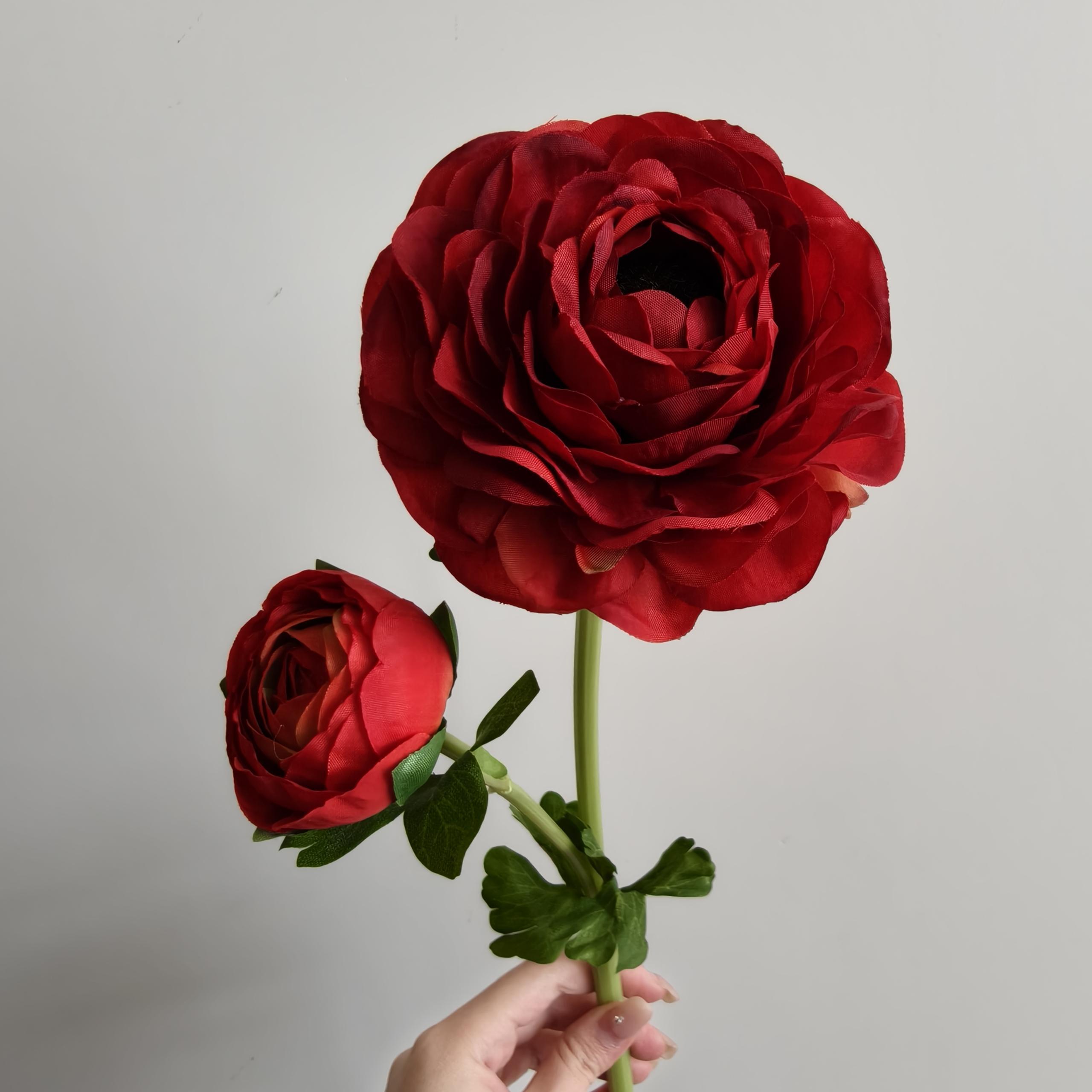 Big red 2-headed rulian single branch