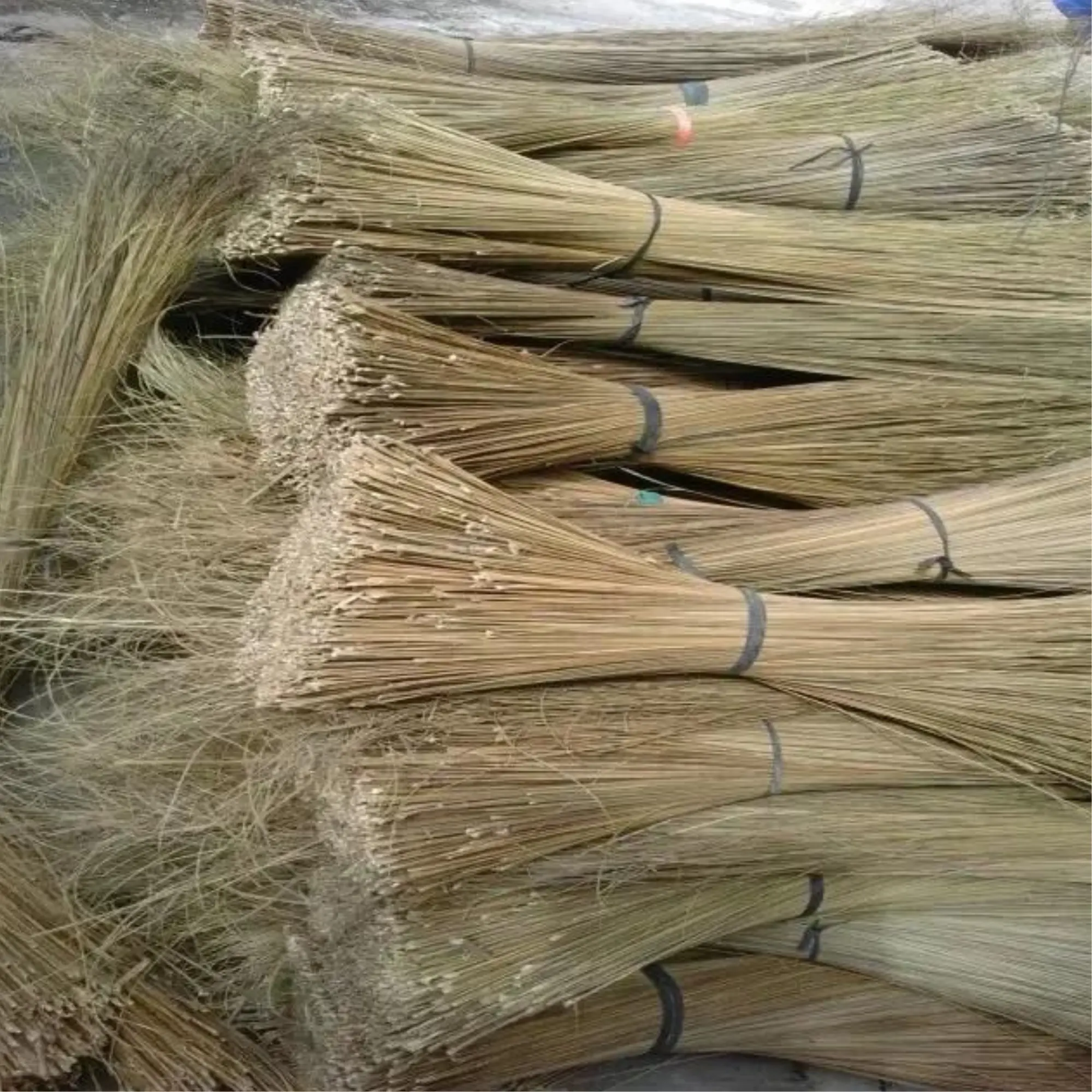 Brown Coconut Broom Stick Fabrik preis 100% natürlicher Großhandel Hohe Qualität aus Vietnam 99GD