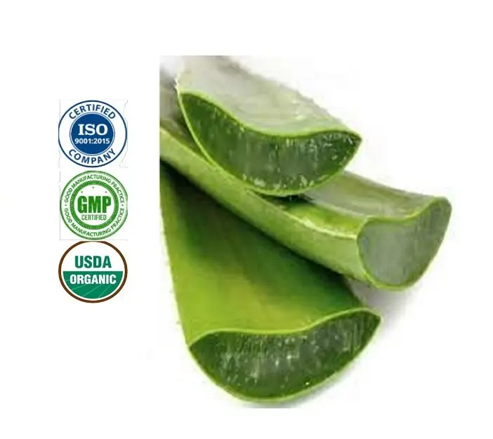 Alta qualidade Aloe acalmar bálsamo fragrância óleo marca fragrância pura óleo para bálsamo fazendo concentrado óleo essencial para fazer bálsamo