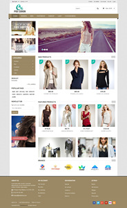 Fully Responsive Shopify Store Development <strong>and</strong> Ecommerce <strong>Website</strong> <strong>Design</strong> <strong>and</strong> Development With SEO Services - Product Image 3