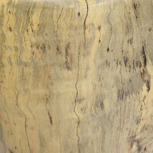 Spalted naturel