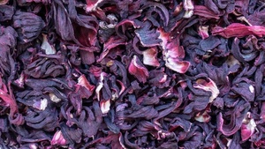 热销优质美味芙蓉干叶原料加工埃及原产干菜供人类食用