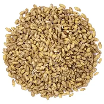 Best Feed Barley Grain / Barley Malt Grain / Hulled Barley Ready