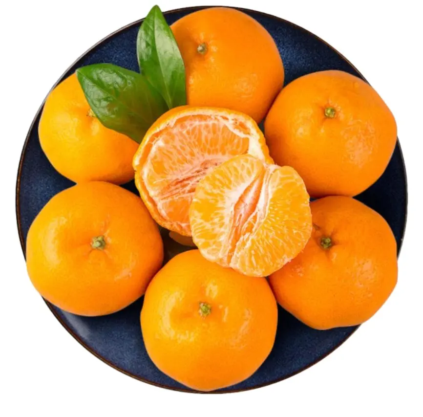 Fresh Sweet Mandarin Orange Citrus Fruit Oranges and Tangerines Fruit