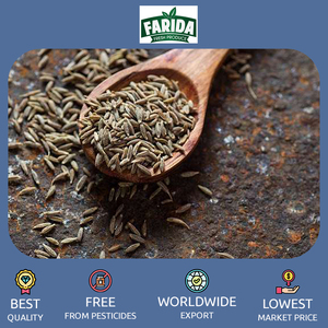 Premium Quality <strong>Egypt</strong> Origin Export 100% Pure and Dried Raw Single Spices Product Egyptian Cumin Seeds for Bulk Purchase - Product Image 5