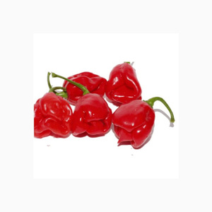 <span class=keywords><strong>Habanero</strong></span>新鮮な純粋なカプサイシン赤唐辛子袋に詰めて販売唐辛子赤唐辛子粉末スパイス混合黄色の袋