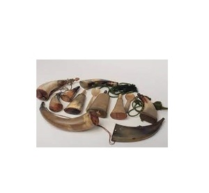Natural Cow <strong>Horn</strong> Powder <strong>Horn</strong> and for Sale From cm Raw <strong>Horn</strong> with for <strong>Shape</strong> Customized Price for 2 Piece with Hanging Use - Product Image 6