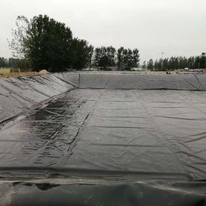 HeSheng özel HDPE geomembranlar en iyi fiyat fabrika sunulan su yalıtım ve endüstriyel tasarım tarzı Geocell - Product Image 1