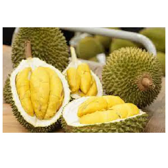 Commercio all'ingrosso di prodotti di durian freschi congelati e prodotti di durian surgelati a buon mercato