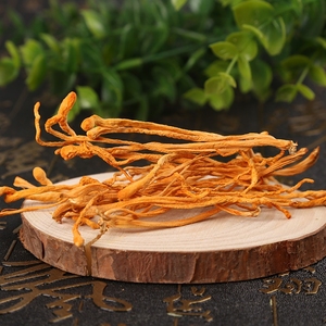 Chất lượng cao Đông Trùng Hạ Thảo Militaris Nhà cung cấp số lượng lớn khô Đông Trùng Hạ Thảo nấm bán buôn Đông Trùng Hạ Thảo Nấm - Product Image 3