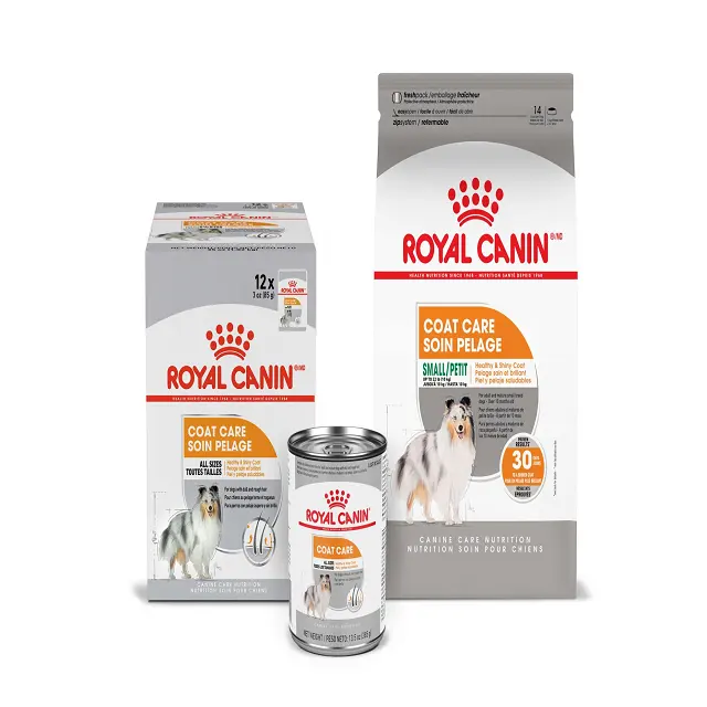 Royal Canin K36 Chaton Chat Adulte 12 Mois Chat Bleu Poils Courts Général 10kg Nourriture Nutritionnelle pour Chat