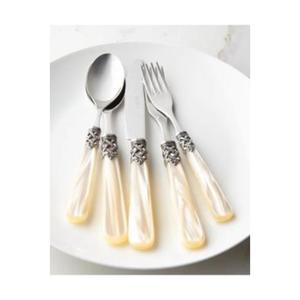 Stylishly Designed Resin <strong>Handle</strong> Cutlery Set with <strong>Smooth</strong> Texture and Lightweight Feel Offering a Superior Dining Experience - Product Image 1