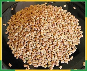 Hạt giống cỏ cà ri tự nhiên-rautimpex mô hình thương hiệu quốc tế rifgs - Product Image 2