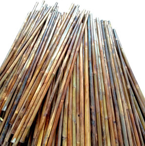 The Processing of Rattan Manau Cane Poles with Good Price - Product Image 3