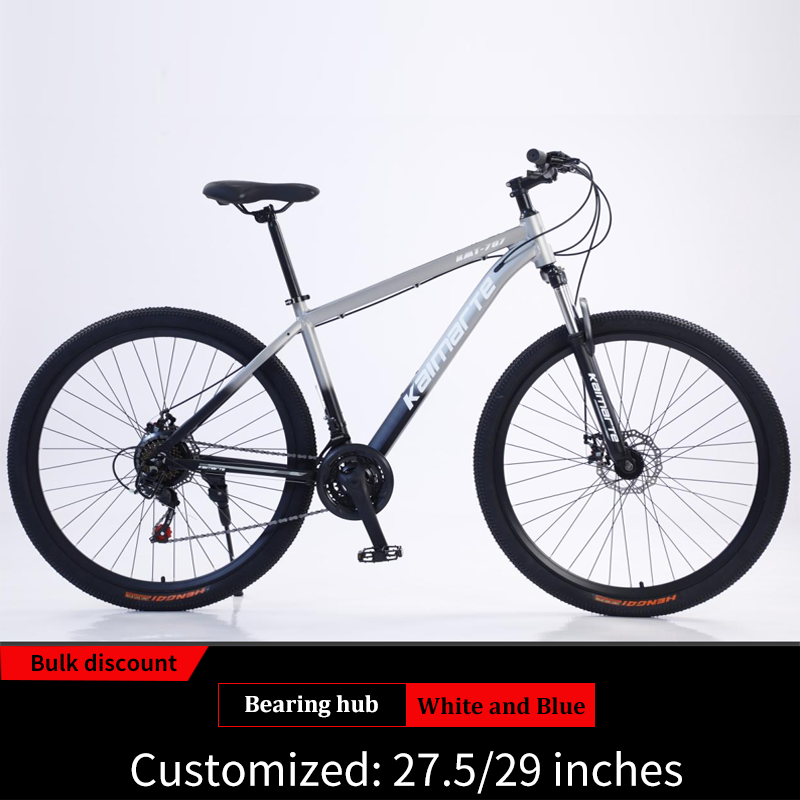 Vélo de montagne 24