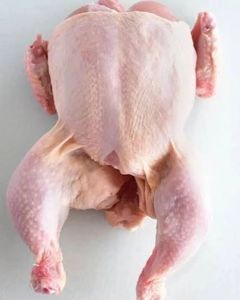 食品用鶏肉全身カーカスメーカーオランダの標準グレードHALAL認定真空包装製品 - Product Image 6