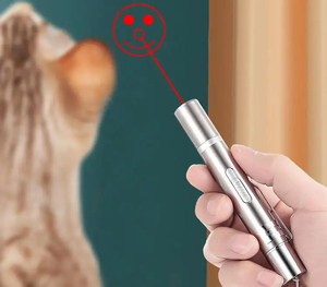 Qbellpet Großhandel <span class=keywords><strong>Cat</strong></span> Teasing Pen USB Wiederauf ladbare Red Dot Light Cats Trainings spielzeug Katzen-und Hunde-Infrarot-Indikators tift Spielzeug - Product Image 6