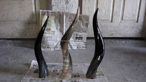 Klasik boynuz drinkware Artisanal boynuz horn kupa özelleştirilebilir boynuz fincan restoran içecek hizmet için lüks el sanatları tarafından kupa - Product Image 2