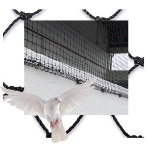 PESTLINE Filet pour oiseaux PRO 50x100 Solution plastique de qualité pour une infestation efficace et durable des oiseaux nuisibles - Product Image 1