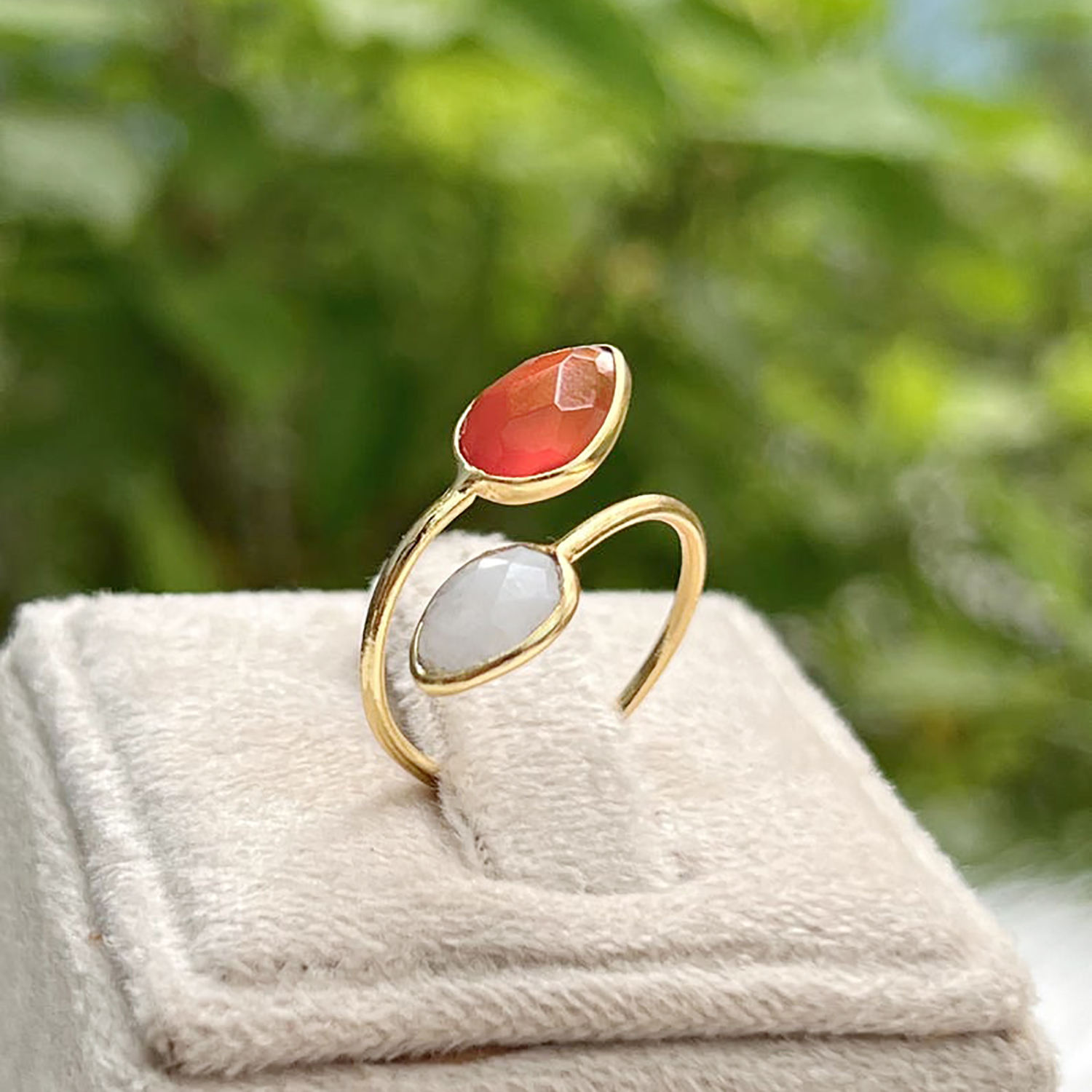 สายรุ้งและคาร์เนเลียน