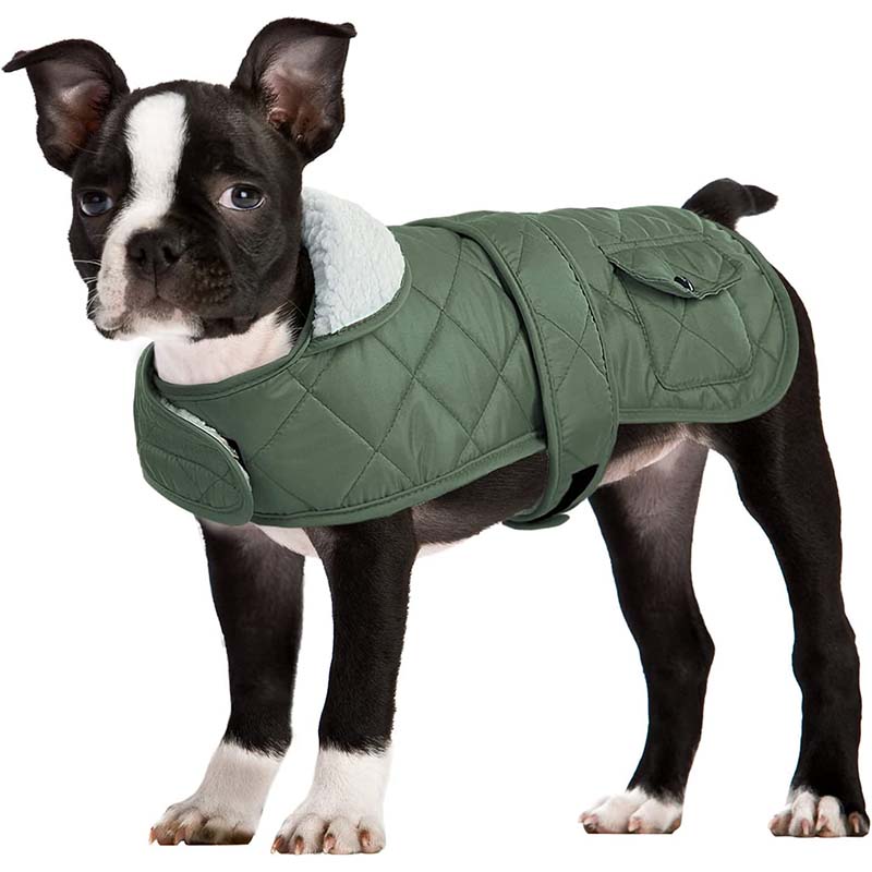 DARK green OEM