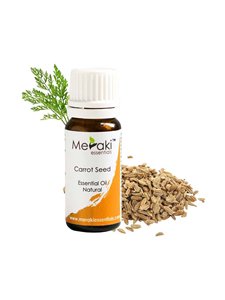 Cilt besleyici özellikleri ile havuç tohumu uçucu yağ kaynağı cilt aydınlatma için % 100% saf ve doğal organik havuç tohumu yağı - Product Image 3