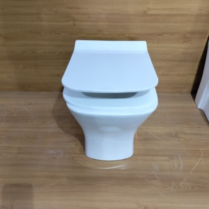 モダンセラミックワンピースボウルビデWCセット壁掛け式、ホテル用吊り下げ式リムレスフラッシュフロア-取り付けられた便器