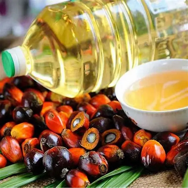 Olio di palma grezzo CPO olio di girasole RBD Palm Olein