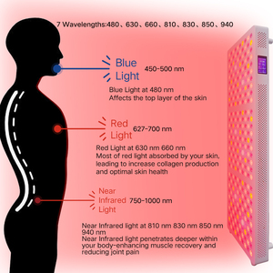 2025เครื่องบำบัดด้วยแสงสีแดงและใกล้อินฟราเรดแบบเต็มความยาวคลื่น7ดวงเครื่อง PDT ควบคุมด้วยแอประบบสัมผัส - Product Image 3