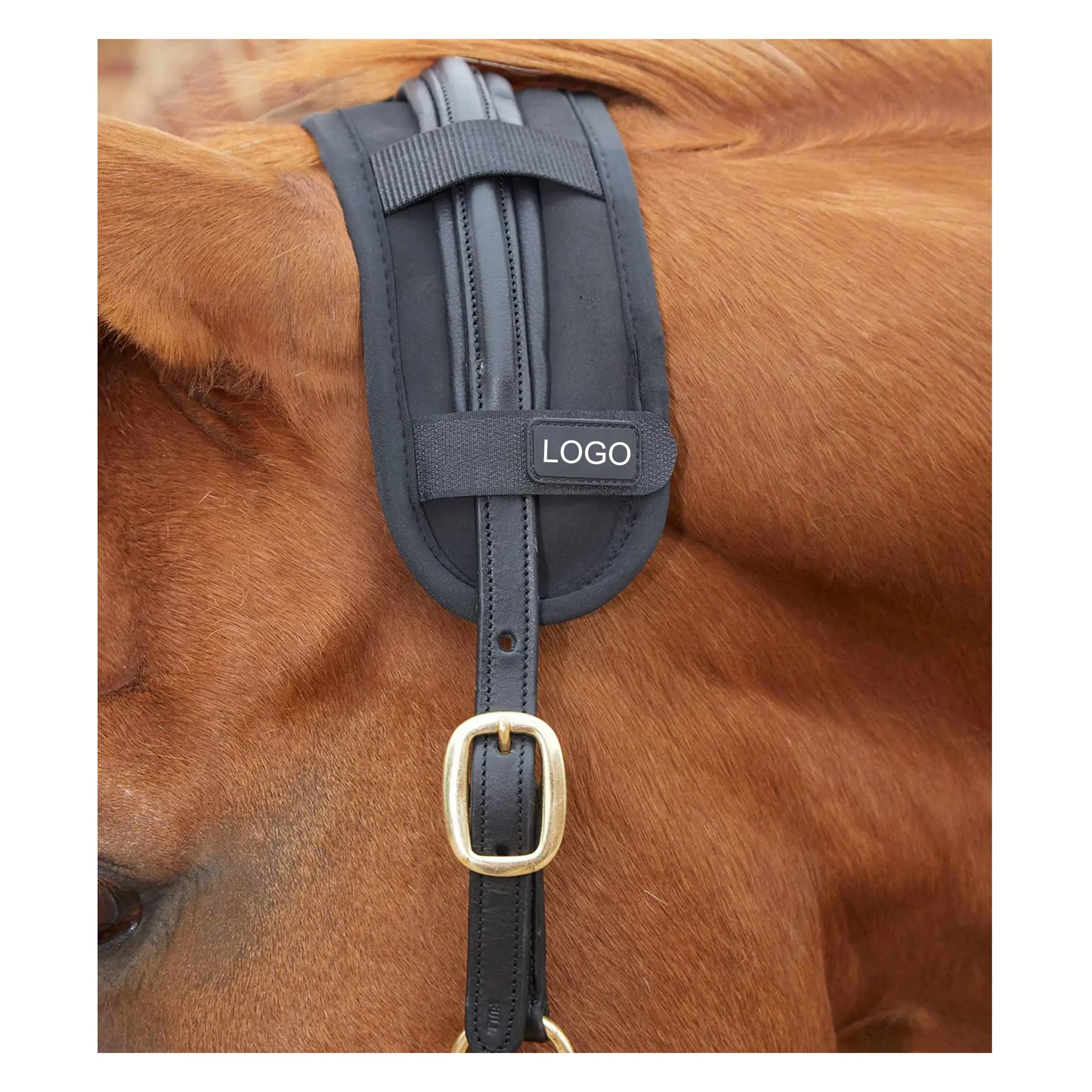 Design alla moda Best seller in Neoprene cavallo magnetico Poll Band avvolge cavallo collare ridurre la tensione e rilassare le chiusure per la vendita