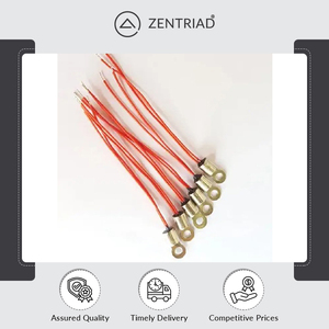 El sensor de temperatura del termistor NTC de alta precisión recubierto de epoxi hecho en La India más vendido para calentadores de agua y calentadores de aire - Product Image 6
