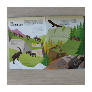 Premium Quality Children <strong>Book</strong> Printing - Different <strong>Books</strong> About Different Subject - Excellent for Stimulate Learning