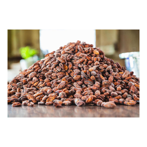 Doking Factory Supply Natural <strong>Cocoa</strong> <strong>Beans</strong> Powder Food Wholesale Fresh Organic <strong>Cocoa</strong> Powder