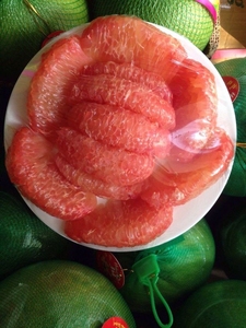 FRESH CITRUS FRUIT - FRESH <strong>POMELO</strong> - VIETNAMESE RED <strong>POMELO</strong> for EXPORTING/ Crystal - Product Image 2