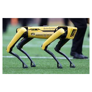 Sibercanin X Teslas akıllı Robot köpek - Product Image 3