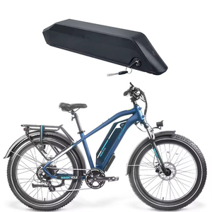 Özel 48V/52V lityum pil Magicycle elektrikli bisikletler için BMS 20A geyik <span class=keywords><strong>Ocelot</strong></span> Cruiser Pro Jaguarundi modelleri için
