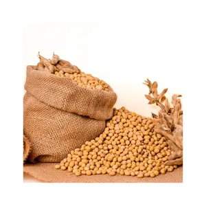 GMO and Non GMO Soyabean/Soybean for Sale Soybeans Soya Soja Bean Common High Quality