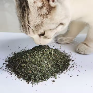 Wholesale Natural Dried Fresh Fine Coarse <strong>Catnip</strong> Leaves Bulk <strong>Catnip</strong> Powder for Cats - Product Image 1