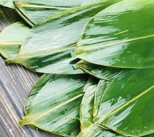 Vietnam'dan bambu yaprağı/yemek masası için dekorasyon için taze yaprak dondurulmuş yaprak - Product Image 1