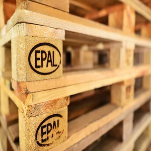 Rekabetçi fiyatlar ağır Euro plastik paletler çift yüzlü 4 yönlü giriş standart boyut çok yönlü uygulamalar kullanılır - Product Image 2