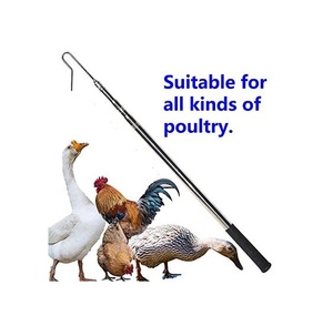 <span class=keywords><strong>Rite</strong></span> sản phẩm nông nghiệp 48 "Gà Catcher chân móc bắt gia cầm ngỗng ngỗng vịt gà tây fowl chim gia cầm crook gia cầm móc - Product Image 1